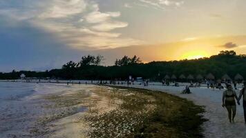 Playa del Carmen Quintana Roo Mexico 2023 Awesome sunset at tropical Caribbean beach Playa del Carmen Mexico. video