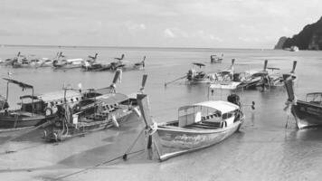 krabi oa nang Thailand 2018 koh phi phi Thailand pier en lange staart boten boot kalksteen rotsen. video