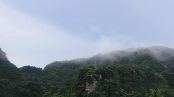 Koh Phi Phi Don Thailand island tropical beach limestone rocks. video