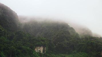 Koh Phi Phi Don Thailand island tropical beach limestone rocks. video