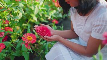 vrouw snuiven bloeiend bloemen in de buurt zonsondergang video