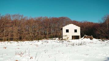 vit hus i de skog omringad förbi snö video