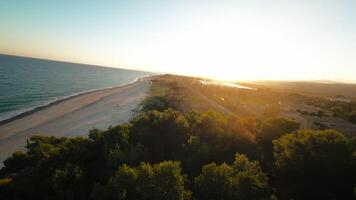 le pin forêt et vide plage à le coucher du soleil dans sicile video