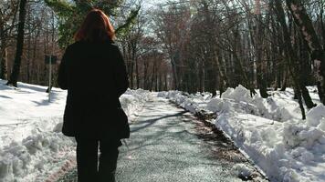 donna a piedi nel il strada di un' nevoso foresta nel il mattina video