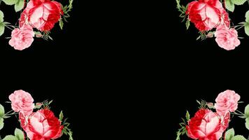 flower Floral frame Background transparent background with an alpha channel. video