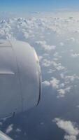 verticale tiro di il Visualizza a partire dal un aereo al di sopra di il Maldive. video