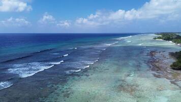 zumbido ver de paraíso islas de el Maldivas con coral arrecifes debajo el olas de el indio océano. video