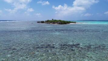 Drone view of paradise islands of the Maldives with coral reefs under the waves of the Indian Ocean. video