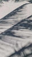 Vertical shot of shadows of palm leaves moving in the wind on a sandy beach background. video