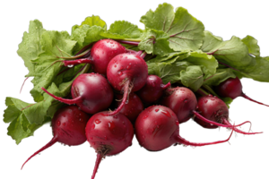 AI generated Isolated beetroot on transparent background png Generative AI