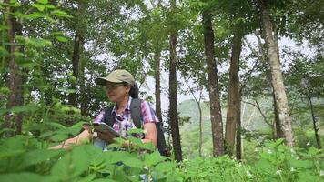 asiatisch weiblich Biologe Arbeiten auf Digital Tablette während beobachten Grün Pflanzen wachsend unter groß Bäume im das Wald. Umwelt Erhaltung. Lernen Prozess von Photosynthese im Natur. video