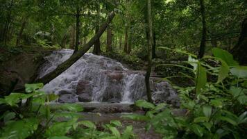 Beautiful scenery of cascade with water flowing from the mountain over the rocks through lush foliage plants in rainforest. Freshness and greenery in the wild nature. Thailand. UHD. 4K. video