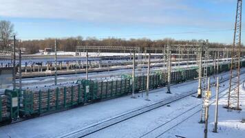 train with round timber in the carriages, winter landscape in motion video