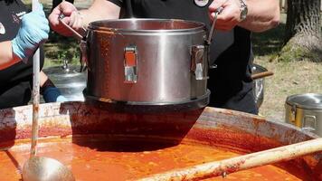 tomate sopa con pasta es un polaco plato. zupa pomidorowa. caliente sopa hecho desde rallado Tomates. personas y turistas caminar, comer y comprar comida a el calle comida festival. Ucrania, Kiev - agosto 17, 2023. video