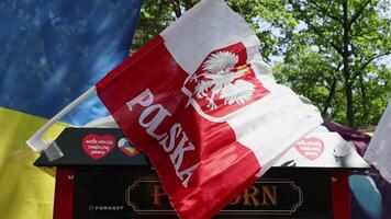 Flags of Poland and Ukraine. Demonstration in support of Ukraine at a street food festival. Ukraine, Kyiv - August 17, 2023. video