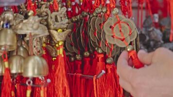 Chinese New Year Decorative Pendants video