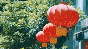 chinês Novo ano decorativo vermelho lanternas video