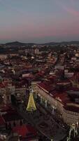 verticaal video van stad Kerstmis boom Bij nacht antenne visie
