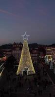 verticaal video van stad Kerstmis boom Bij nacht antenne visie