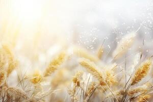 AI generated Abstract natural background with fluffy stems of tall grass on a bokeh background. Dry soft grass. Generated by artificial intelligence photo