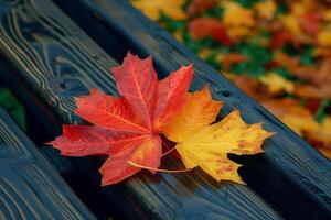 AI generated Autumnal charm a solitary maple leaf adorns a wooden bench photo