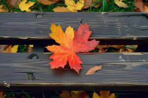 AI generated Rustic elegance captured as a maple leaf graces a wooden bench photo