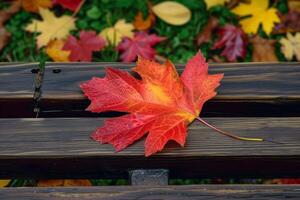 AI generated Rustic elegance captured as a maple leaf graces a wooden bench photo