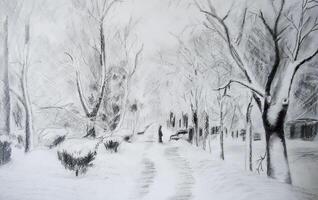 Winter landscape in the street in the park. photo