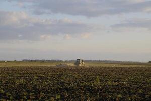 Tractor plowing plow the field. Tilling the soil in the fall after harvest. The end of the season photo