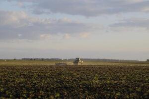 tractor arada arado el campo. labranza el suelo en el otoño después cosecha. el final de el temporada foto