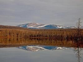 río paisaje temprano primavera. desnudo árboles, derritiendo nieve. foto