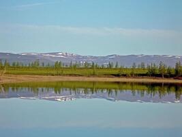 River landscape. Northern reindeer in summer forest. The sky, gr photo