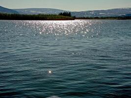 River landscape. Northern reindeer in summer forest. The sky, gr photo