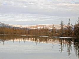 River landscape Early spring. bare trees, melting snow. photo