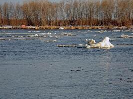 Melting snow in the spring. The spring heat will melt the snow. photo