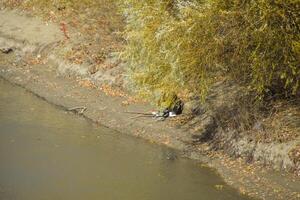 Fishermen on the bank of the river in autumn. Fishing the bait. photo