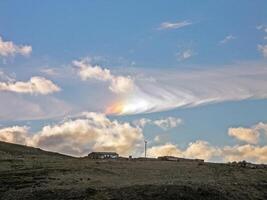 Landscape of the tundra in summer. Summer tundra on the Yamal Pe photo