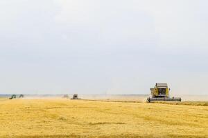 Harvesting wheat with a combine harvester. photo