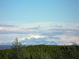 bosque tundra paisaje en el verano. taiga de Siberia. yamal. foto