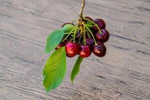 Berries of sweet cherry with a twig and leaves. Ripe red sweet cherry photo