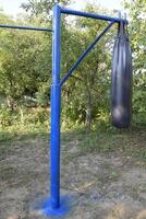 Homemade bar with a punching bag outdoors in the garden. photo