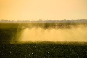 Jets of liquid fertilizer from the tractor sprayer. photo