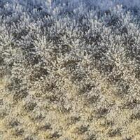 Background of a sheet of slate covered with frost photo