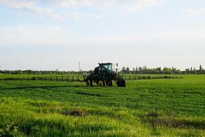 tractor con el ayuda de un rociador aerosoles líquido fertilizantes en joven trigo en el campo. foto