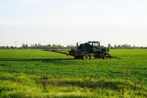 tractor with the help of a sprayer sprays liquid fertilizers on young wheat in the field. photo