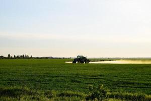 tractor with the help of a sprayer sprays liquid fertilizers on young wheat in the field. photo