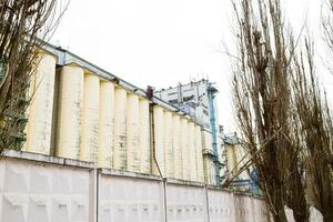 Building for storing and drying grain photo