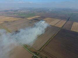 ardiente Paja en el campos después cosecha trigo cosecha foto