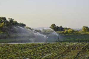 Irrigation system in field of melons. Watering the fields. Sprin photo