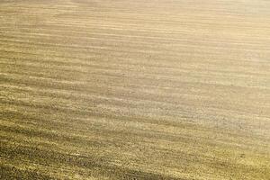 plowed field in the spring in the village. Agricultural land in the Kuban. Preparation of fields for sowing wheat. photo